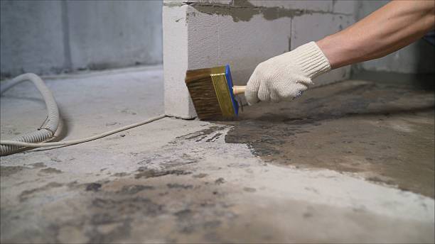 24/7 Emergency Crawl Space Encapsulation experts in Millstone Township, NJ